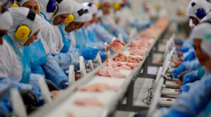 ABPA apresenta projeções para a avicultura e suinocultura do Brasil em 2023