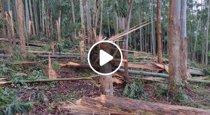 Defesa Civil confirma passagem de tornado em município do Oeste de SC