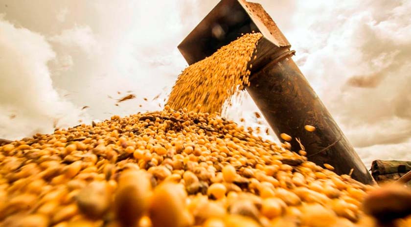 Mapa publica calendário de semeadura da soja 23/24