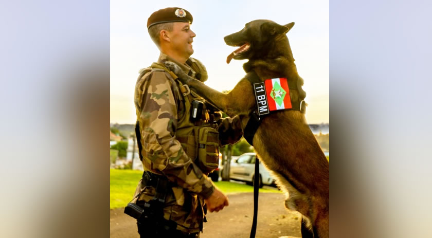 Depois de oito anos de serviços prestados,  cão de faro Axel, é aposentado