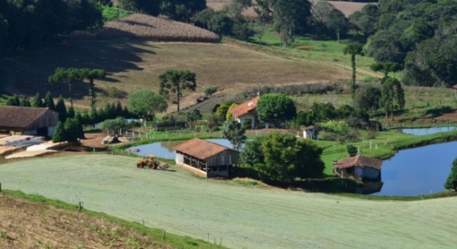 Novo programa do governo de Santa Catarina prevê R$ 1 bilhão em crédito para cooperativas