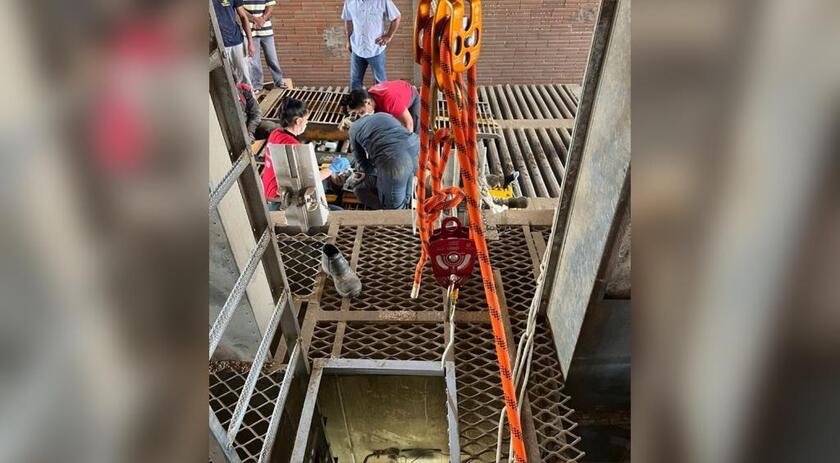 Trabalhador de 31 anos morre ao cair em fosso de cooperativa