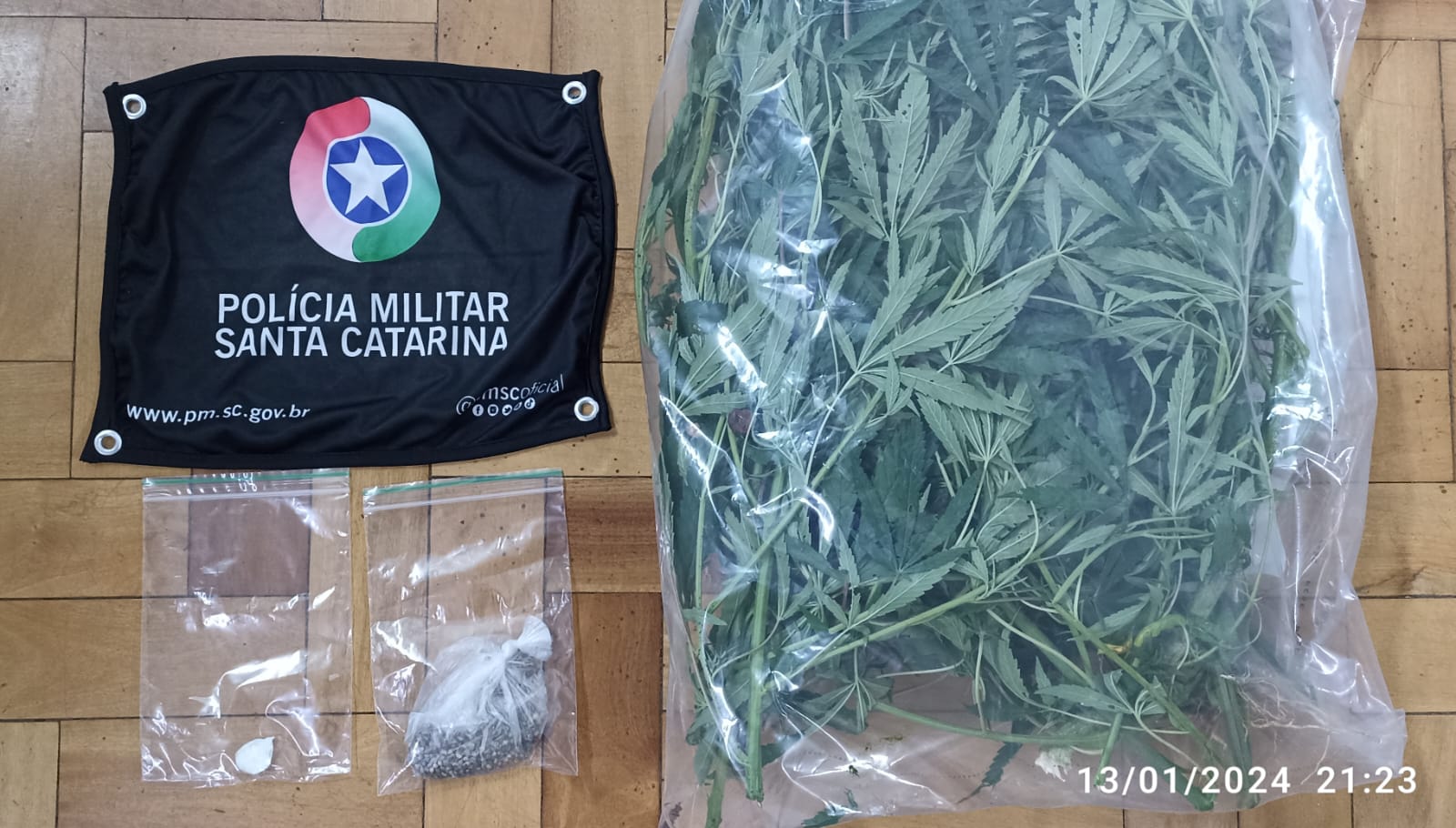 Usuário entrega ponto de tráfico e PM localiza pés de maconha em residência