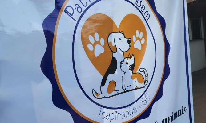 ONG alerta para cuidados com animais domésticos no período de frio
