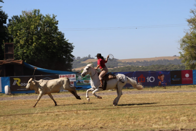 XXV Rodeio Crioulo e Artístico Nacional será realizado entre 19 e 22 de março