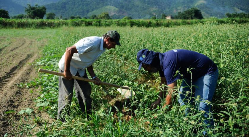 Agricultura familiar é 8ª maior produtora de alimentos do mundo