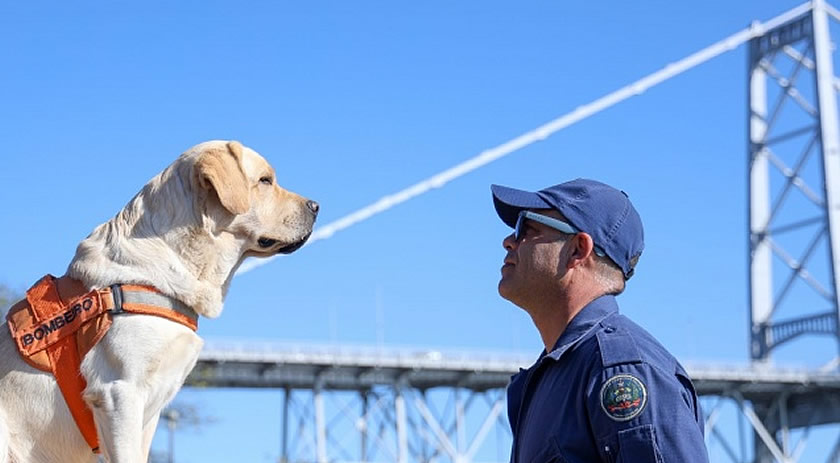 Referência nacional em busca e salvamento, CBMSC investe em treinamento conjunto com cães