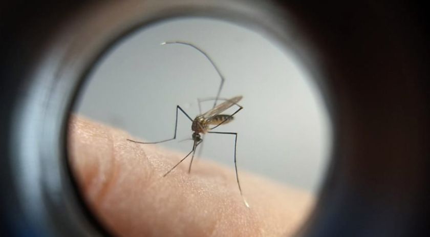 Xanxerê confirma quarta morte por chikungunya em meio a surto da doença