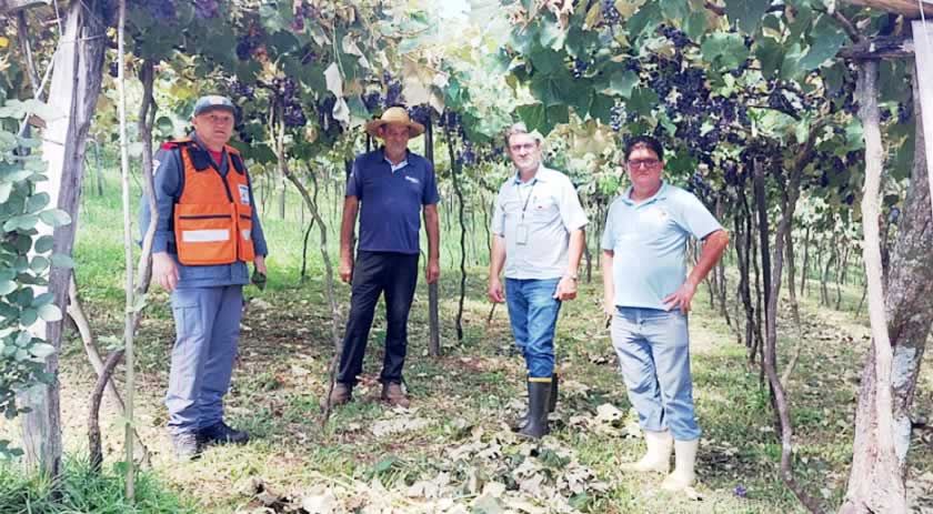 Município apresenta relatório de perdas com chuva de granizo no interior