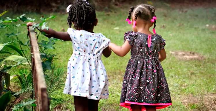 Estudo aponta que 35% das mulheres de SC não pretendem ter filhos ou não sabem quando