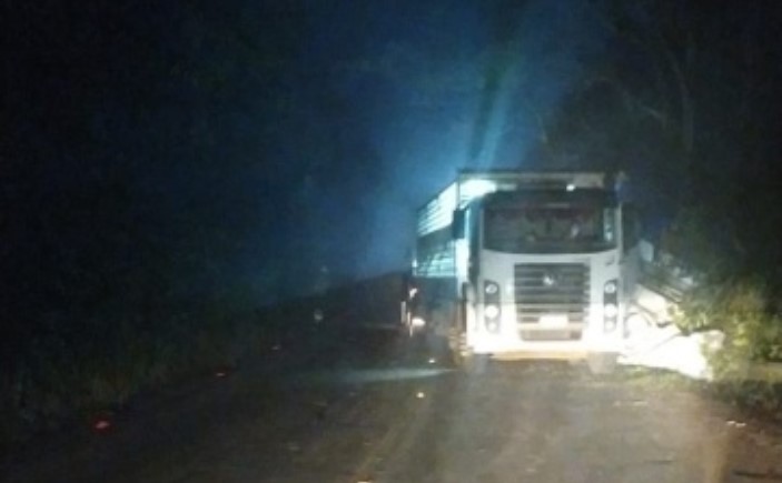 Caminhão carregado de suínos sai da pista e colide em defesa e árvores na SC-283