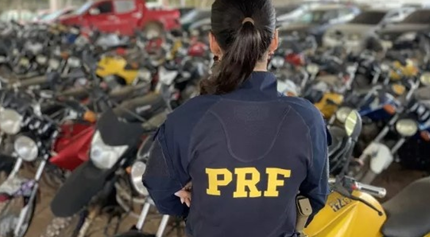 PRF de SC leiloa mais de 300 veículos apreendidos; confira como participar