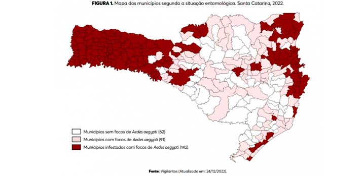 SC tem aumento de 335% nos casos de dengue e 12 vezes mais mortes pela doença em 2022