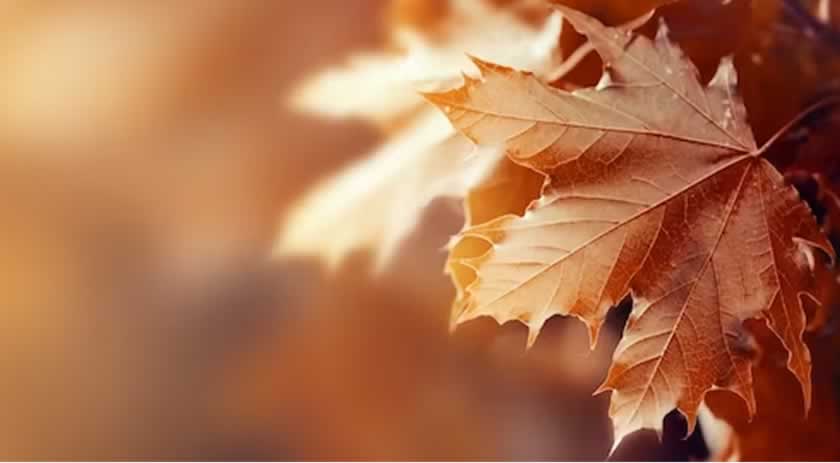 Calor ‘de rachar’ ou frio? O que esperar do outono 2023 em SC