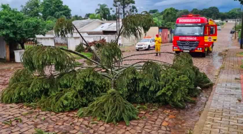 Defesa Civil confirma ocorrência de microexplosão no domingo