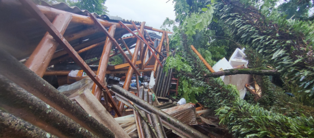 Queda de árvore deixa homem de 74 anos ferido na região