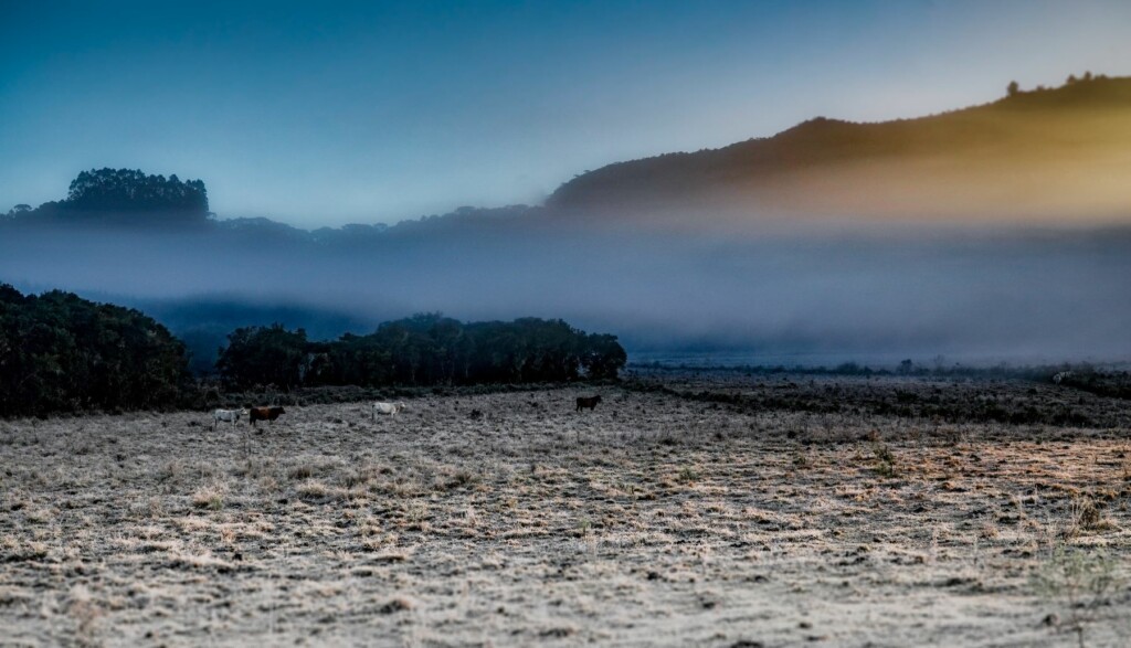 Santa Catarina terá declínio acentuado das temperaturas