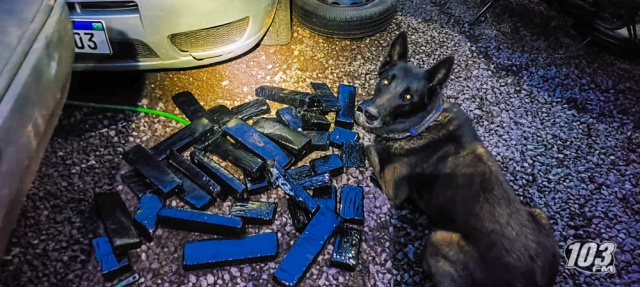 Nova denúncia anônima revela mais drogas escondidas em veículo apreendido durante recorde de apreensão em SMOeste