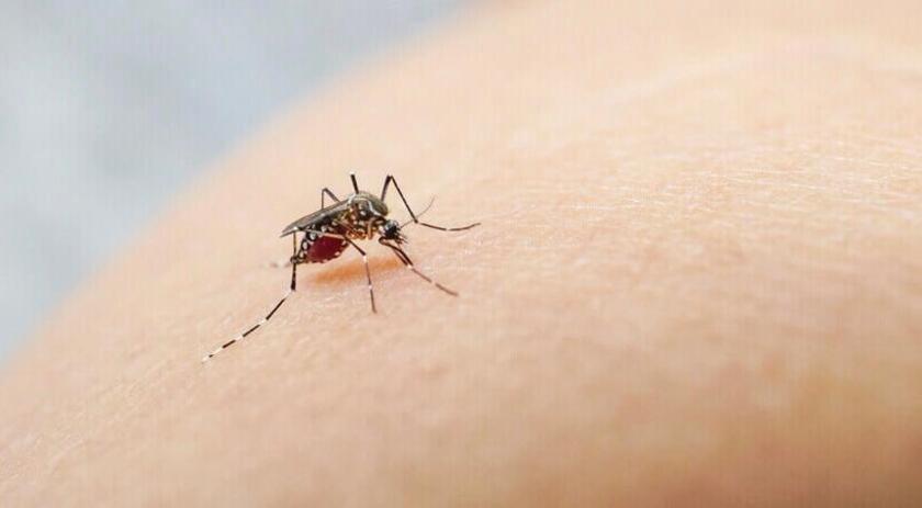 Saúde de São Miguel do Oeste confirma os dois primeiros casos de dengue de 2023