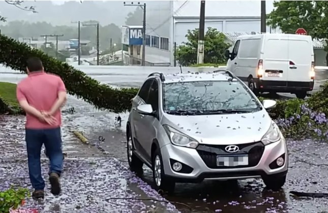 Ventos fortes causam destelhamentos e quedas de árvores em SMO e Descanso