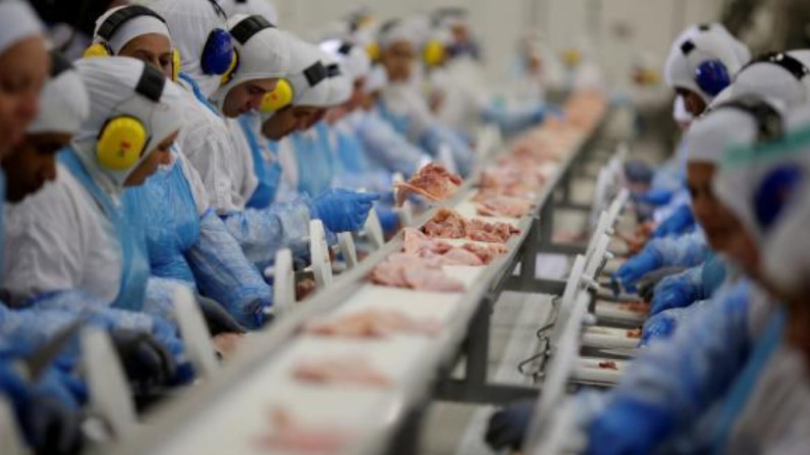 Santa Catarina supera US$ 1 bilhão em receitas com exportação de carnes no primeiro quadrimestre de 2023