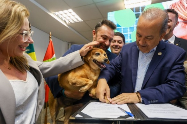SC quer castrar 90 mil cães e gatos até 2026 com programa de R$ 18 milhões