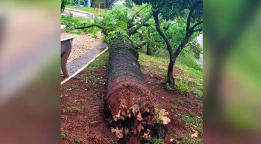 Temporal deixa casas destelhadas e ruas alagadas no Oeste de SC