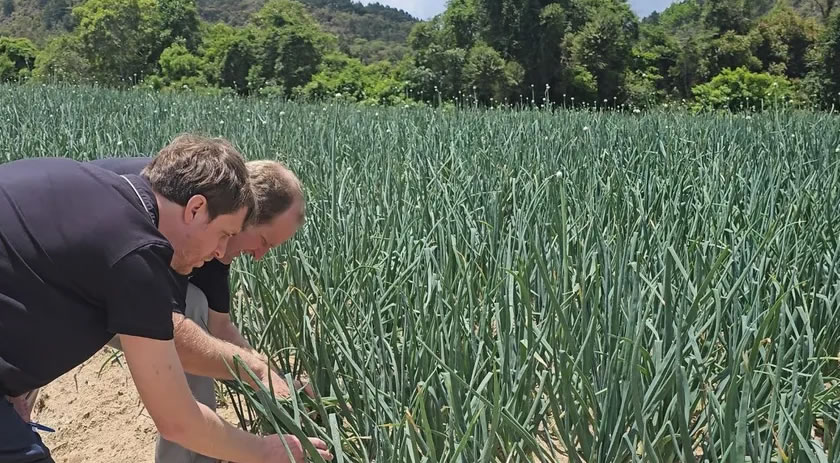 Safra Garantida SC reforça a proteção das lavouras