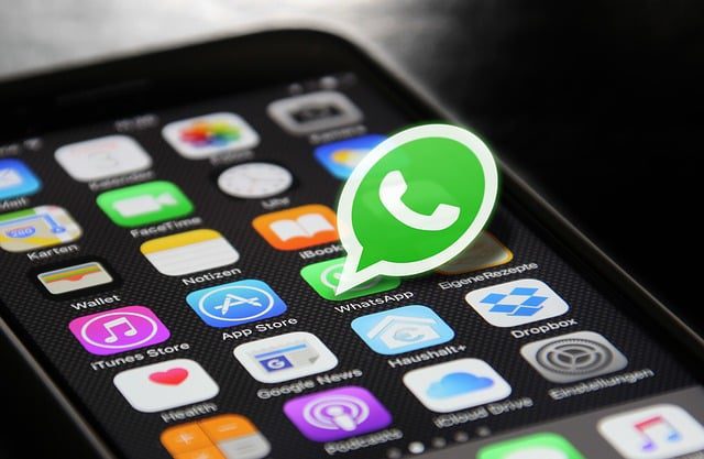 Brasil é o país que mais envia mensagens no WhatsApp, afirma presidente da plataforma