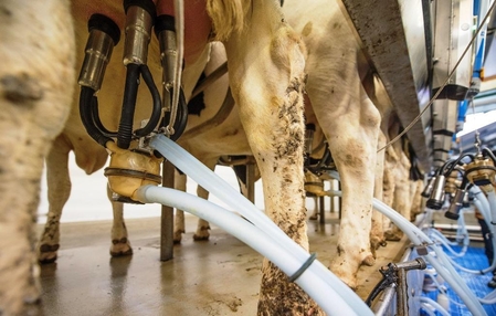 Trabalhador morre ao sofrer choque elétrico em sala de ordenha