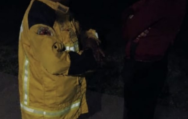 Idosa com Alzheimer é localizada após buscas em área de mata no interior