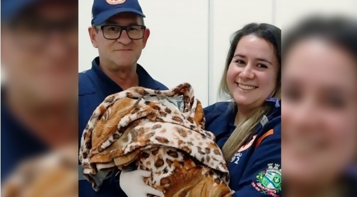 Técnica de enfermagem e motorista do SAMU realizam parto em ambulância a caminho do hospital