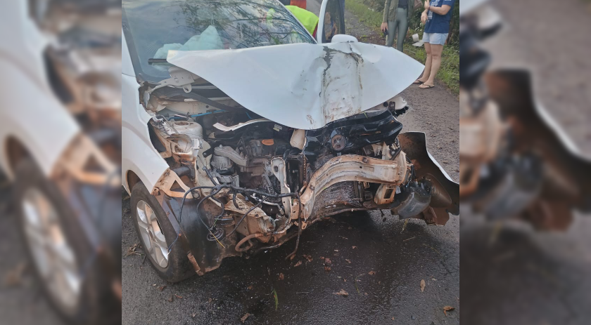 Carro sai da pista e colide em árvore no interior