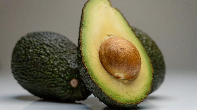 Abacate ajuda a controlar colesterol; confira todos os benefícios