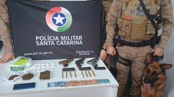 Adolescente de 13 anos é apreendido por tráfico de drogas e posse irregular de armas