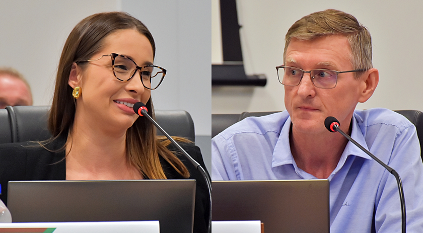 Câmara aprova realização de audiência pública sobre investimentos e obras na Willy Barth e em BRs