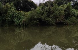 Idoso desaparecido em rio de Águas de Chapecó é encontrado sem vida pelos bombeiros