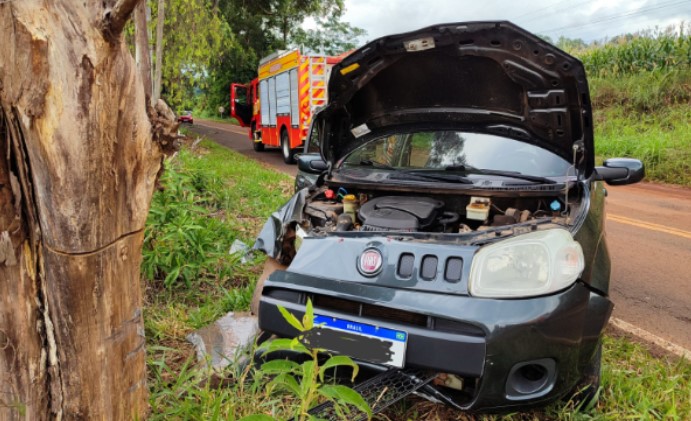 Saída de pista seguida de colisão com árvore deixa motorista ferido