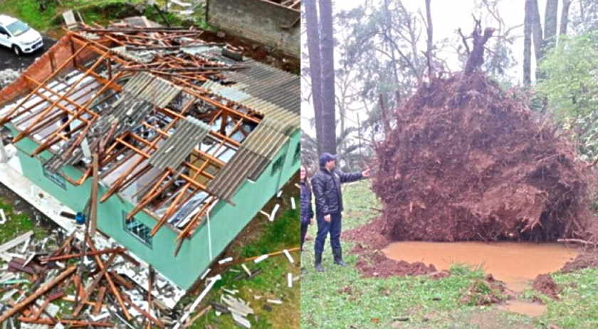 Ventos fortes causam destelhamentos e derrubam árvores em cidades de SC
