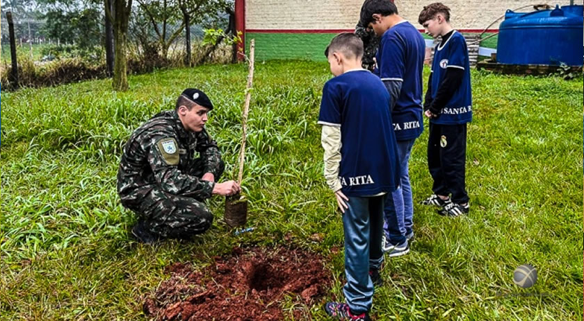Dia Mundial de Proteção às Florestas é marcado por plantio de árvores