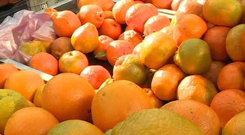Calendário da feira: maio tem tangerina ponkan, mandioquinha, batata-doce e muito mais