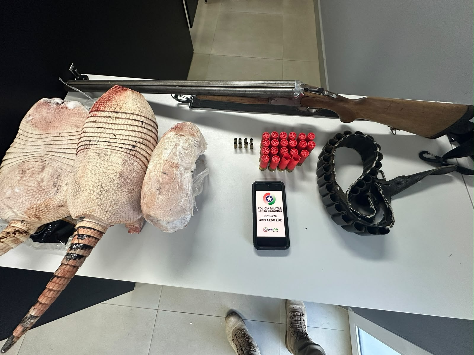 Homem é preso por violência doméstica e abate de animais silvestres