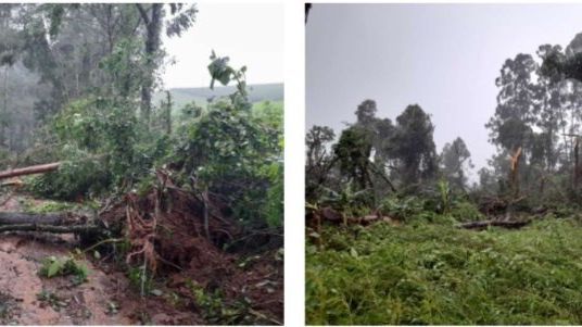 Defesa Civil confirma passagem de tornado em Cunha Porã