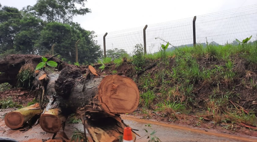 Temporal deixa município mais de 8h sem energia elétrica