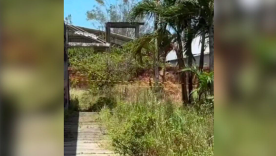 Pai suspeito de matar filho autista e colocá-lo em saco plástico é preso