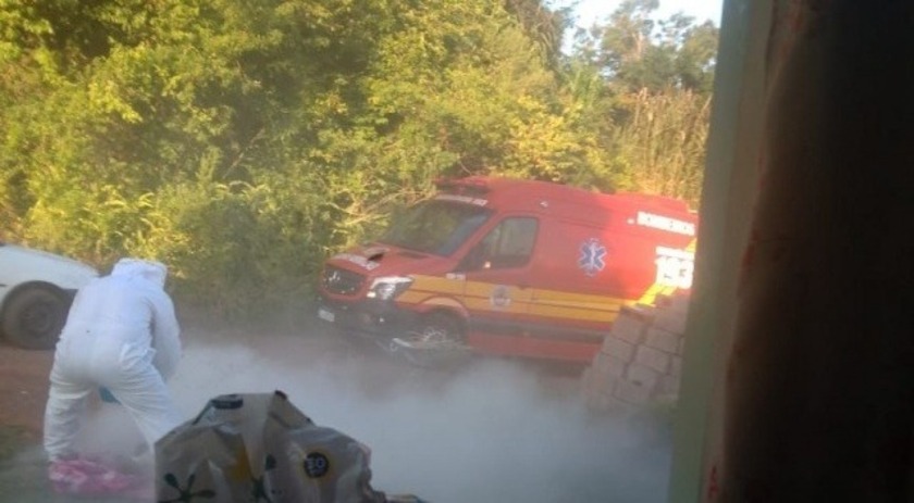 Corpo de Bombeiros salva homem atacado por enxame de abelhas