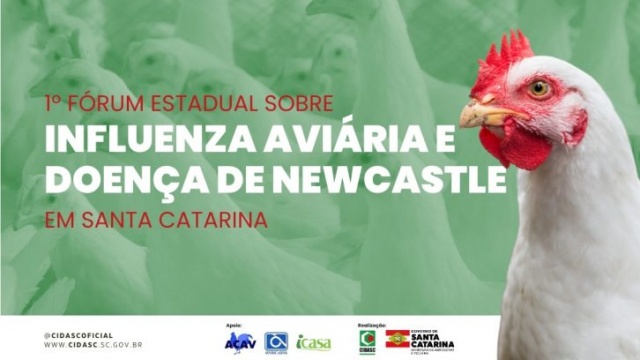 Cidasc realiza 1° Fórum Estadual sobre Influenza Aviária e Doença de Newcastle, em Santa Catarina