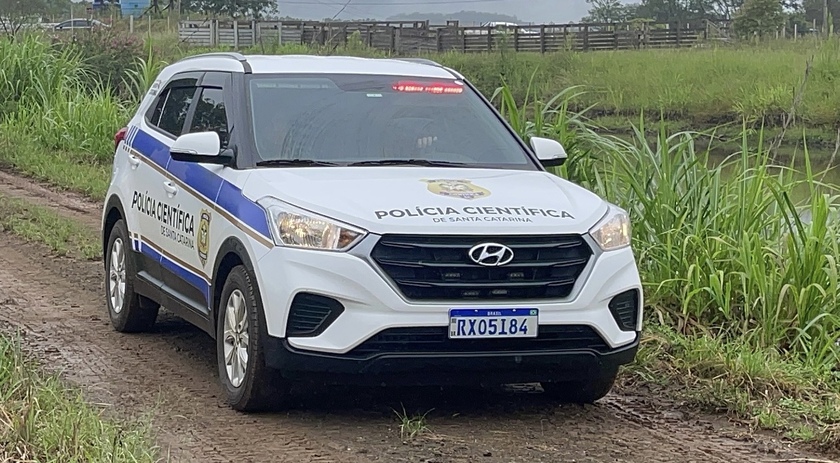 Homem morre após ser atingido por árvore no interior