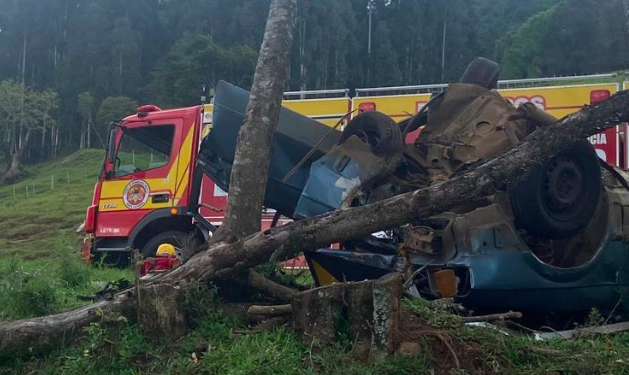 Motorista fica em estado grave após capotar e bater carro em árvore na SC-464