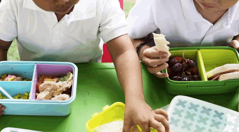 Município vai investir R$ 775 mil em alimentação escolar com produtos da agricultura